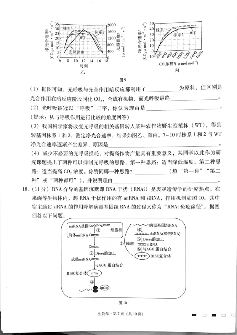 四川省绵阳中学2024-2025学年高三上学期高考适应性月考卷+(一)+生物试题_2024-2025高三（6-6月题库）_2024年11月试卷_11012025届四川省绵阳中学高三模拟预测高考适应性月考卷（一）