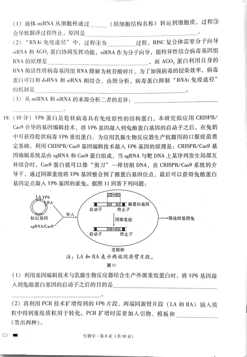 四川省绵阳中学2024-2025学年高三上学期高考适应性月考卷+(一)+生物试题_2024-2025高三（6-6月题库）_2024年11月试卷_11012025届四川省绵阳中学高三模拟预测高考适应性月考卷（一）