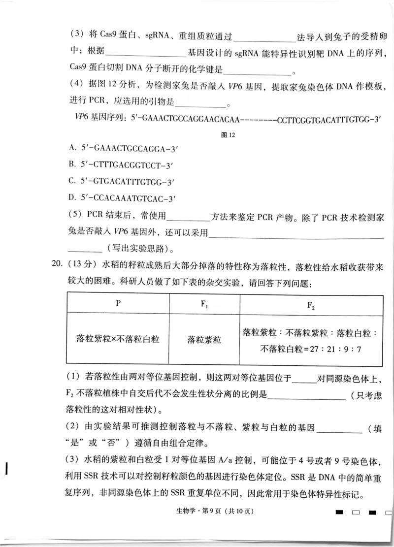 四川省绵阳中学2024-2025学年高三上学期高考适应性月考卷+(一)+生物试题_2024-2025高三（6-6月题库）_2024年11月试卷_11012025届四川省绵阳中学高三模拟预测高考适应性月考卷（一）