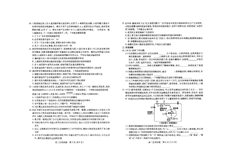生物(1)_2023年11月_0211月合集_2024届山西省运城市高三上学期11月期中考试_山西省运城市2024届高三上学期11月期中考试生物