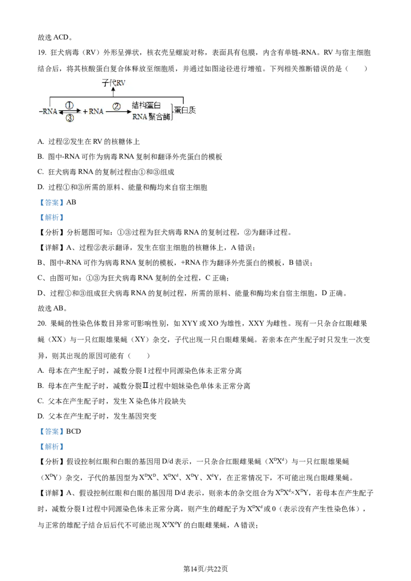 精品解析：辽宁省沈阳市二中2023-2024学年高三10月阶段测试生物试题（解析版）(1)_2023年11月_0211月合集_2024届辽宁省沈阳市第二中学高三上学期10月阶段测试