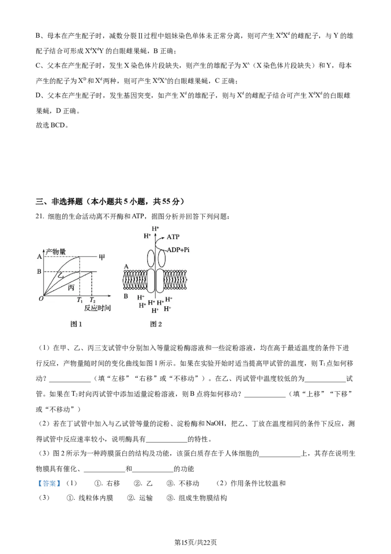 精品解析：辽宁省沈阳市二中2023-2024学年高三10月阶段测试生物试题（解析版）(1)_2023年11月_0211月合集_2024届辽宁省沈阳市第二中学高三上学期10月阶段测试