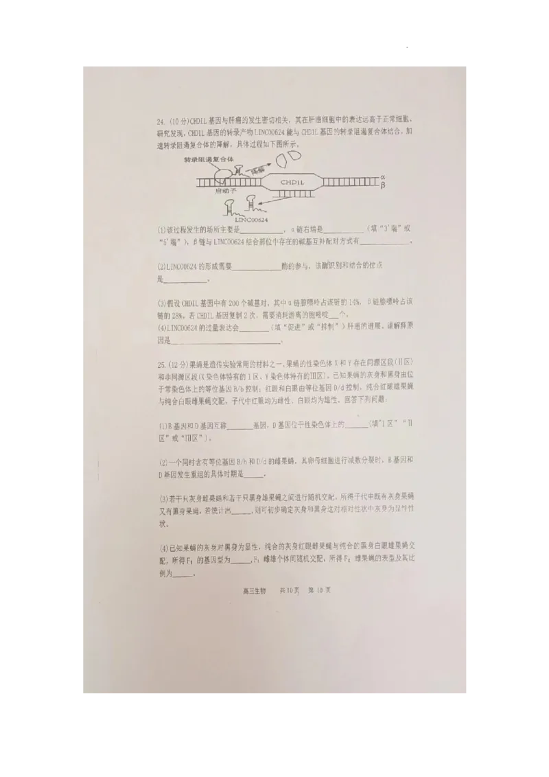 辽宁省六校协作体2024届高三上学期11月期中考试生物(1)_2023年11月_01每日更新_14号_2024届辽宁省六校协作体高三上学期11月期中考试