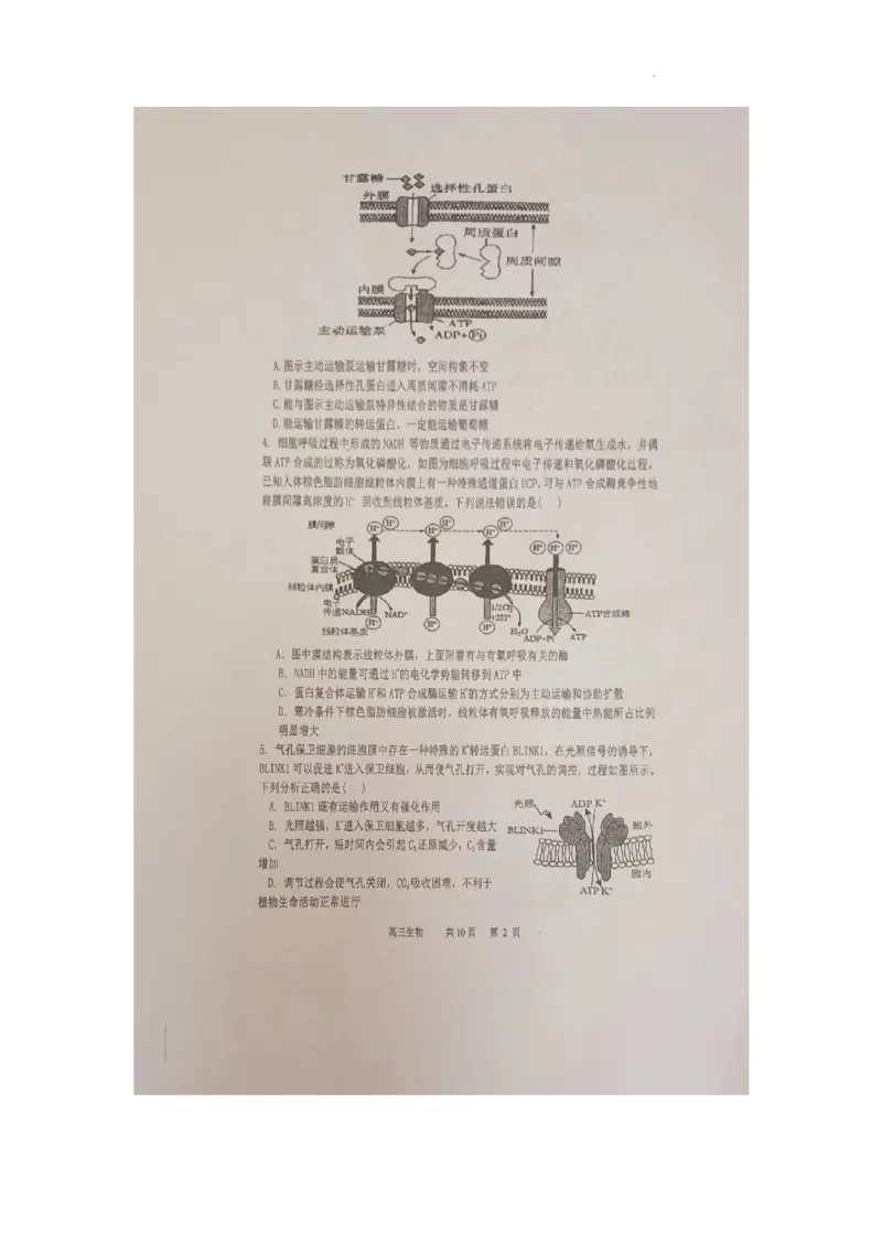 辽宁省六校协作体2024届高三上学期11月期中考试生物(1)_2023年11月_01每日更新_14号_2024届辽宁省六校协作体高三上学期11月期中考试