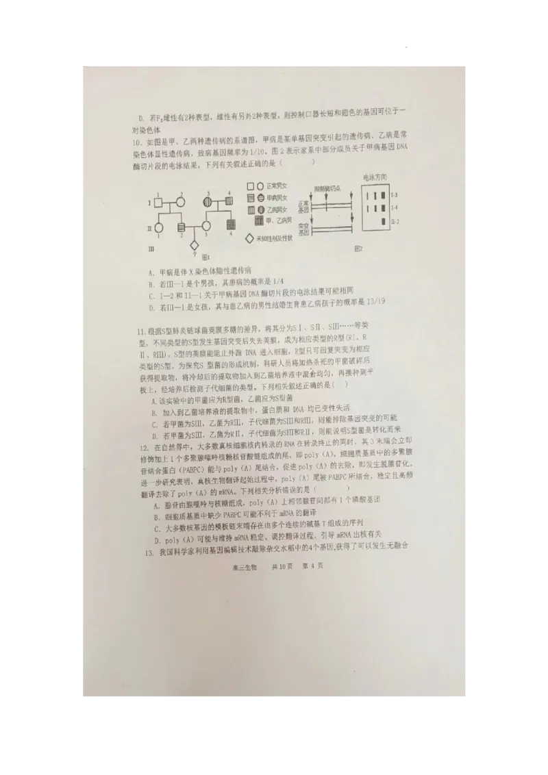 辽宁省六校协作体2024届高三上学期11月期中考试生物(1)_2023年11月_01每日更新_14号_2024届辽宁省六校协作体高三上学期11月期中考试