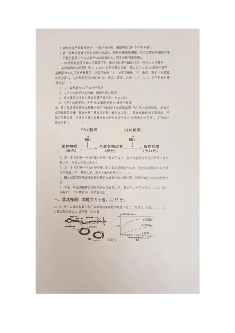 辽宁省六校协作体2024届高三上学期11月期中考试生物(1)_2023年11月_01每日更新_14号_2024届辽宁省六校协作体高三上学期11月期中考试