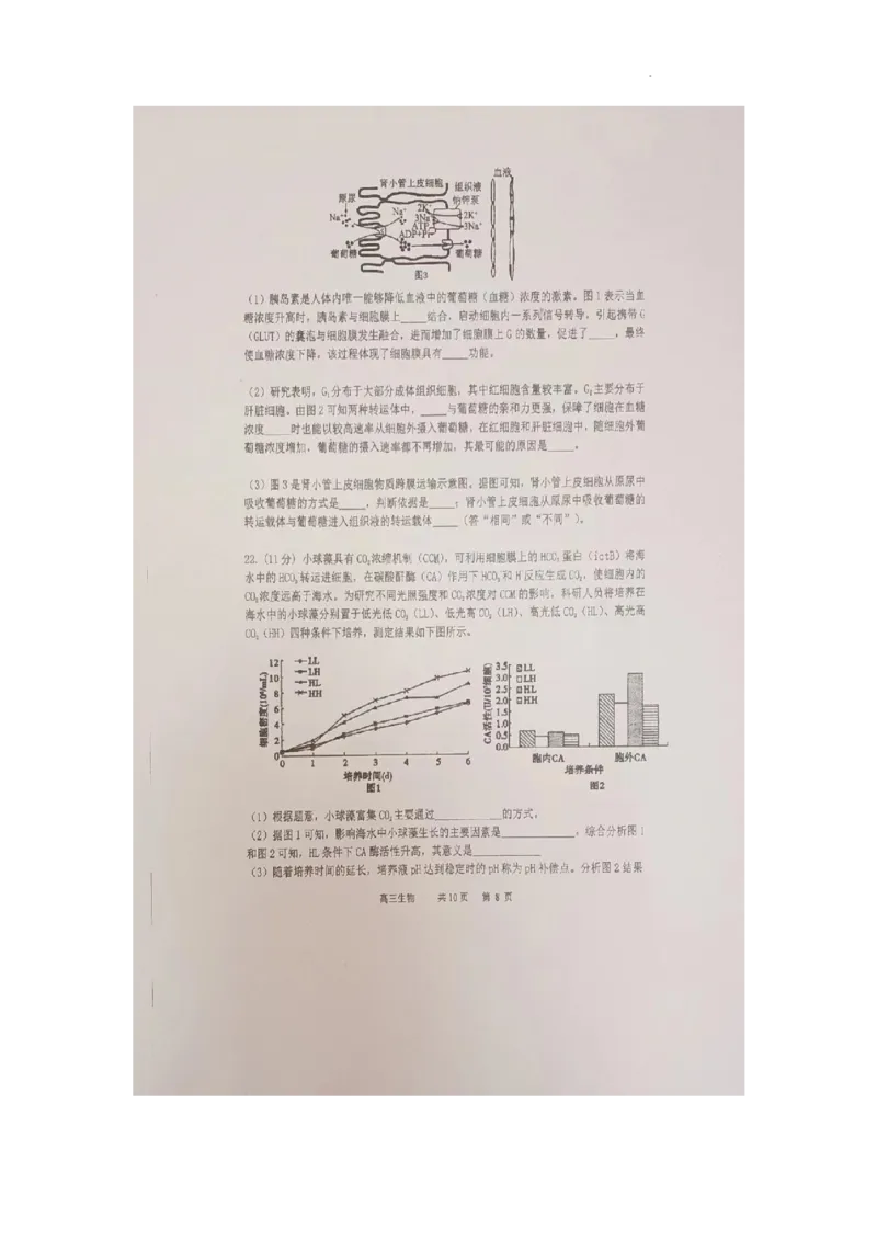 辽宁省六校协作体2024届高三上学期11月期中考试生物(1)_2023年11月_01每日更新_14号_2024届辽宁省六校协作体高三上学期11月期中考试