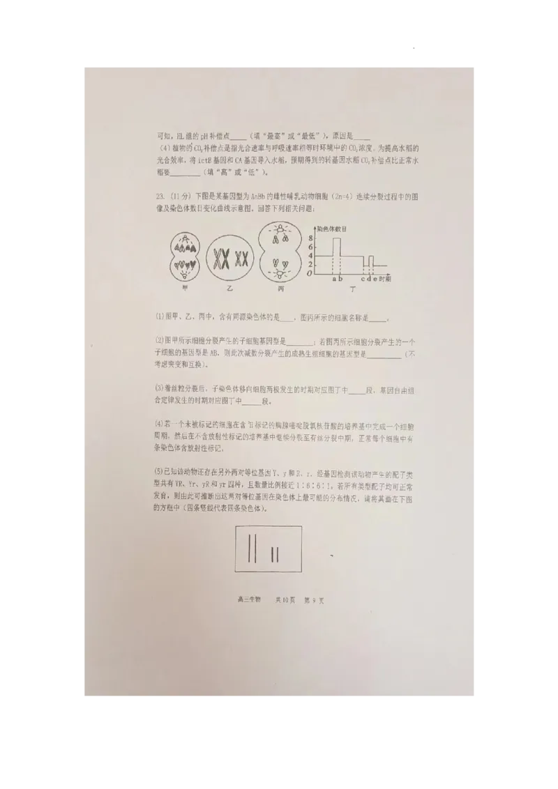 辽宁省六校协作体2024届高三上学期11月期中考试生物(1)_2023年11月_01每日更新_14号_2024届辽宁省六校协作体高三上学期11月期中考试