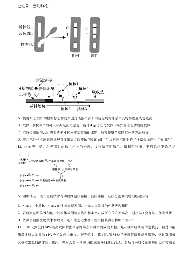 安徽省六安第一中学2023-2024学年高二下学期7月期末考试生物Word版含答案_2024-2025高二（7-7月题库）_2024年07月试卷_0724安徽省六安第一中学2023-2024学年高二下学期7月期末考试