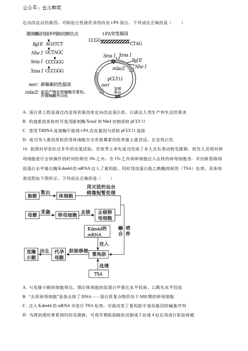 安徽省六安第一中学2023-2024学年高二下学期7月期末考试生物Word版含答案_2024-2025高二（7-7月题库）_2024年07月试卷_0724安徽省六安第一中学2023-2024学年高二下学期7月期末考试