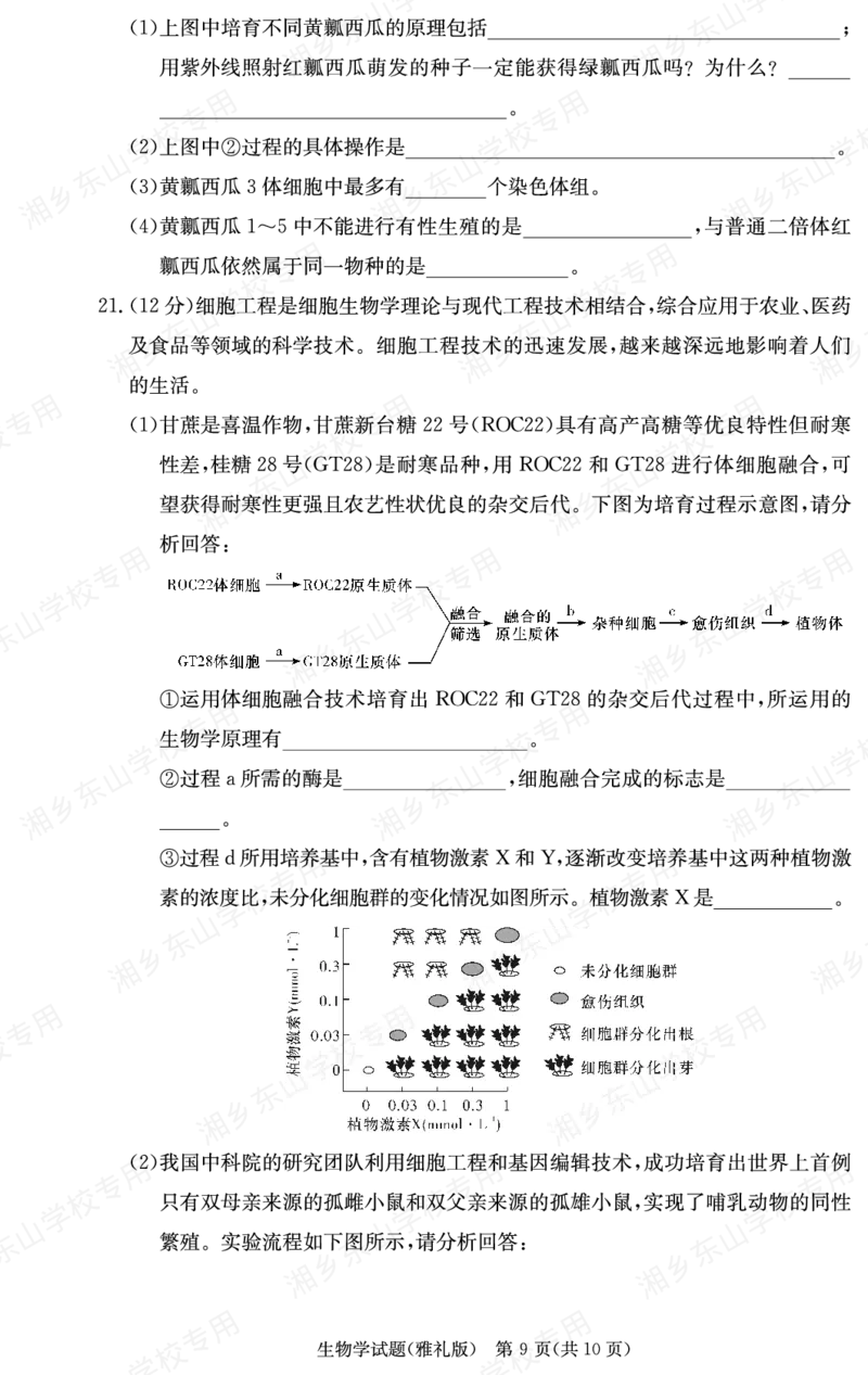 生物学用（雅礼3次）(1)_2023年11月_0211月合集_2024届湖南省长沙市雅礼中学高三上学期月考试题（三）_湖南省长沙市雅礼中学2024届高三上学期月考试题（三）生物