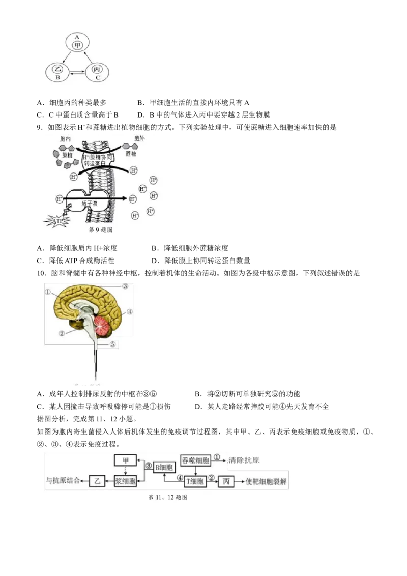 浙江省9+1高中联盟2024-2025学年高二上学期11月期中考试生物试题（含答案）_2024-2025高二（7-7月题库）_2024年11月试卷_1124浙江省9+1高中联盟2024-2025学年高二上学期11月期中考试