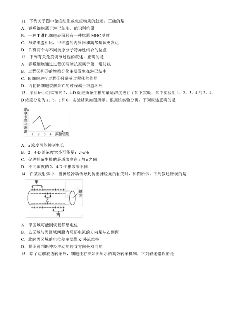 浙江省9+1高中联盟2024-2025学年高二上学期11月期中考试生物试题（含答案）_2024-2025高二（7-7月题库）_2024年11月试卷_1124浙江省9+1高中联盟2024-2025学年高二上学期11月期中考试