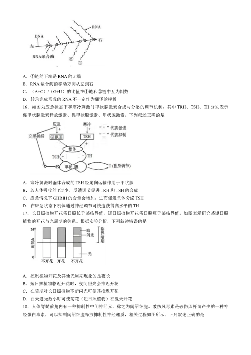 浙江省9+1高中联盟2024-2025学年高二上学期11月期中考试生物试题（含答案）_2024-2025高二（7-7月题库）_2024年11月试卷_1124浙江省9+1高中联盟2024-2025学年高二上学期11月期中考试