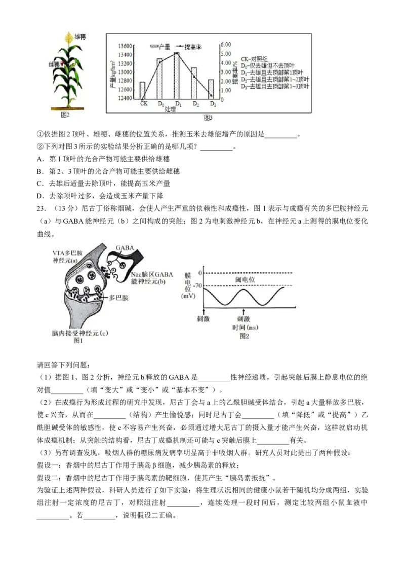 浙江省9+1高中联盟2024-2025学年高二上学期11月期中考试生物试题（含答案）_2024-2025高二（7-7月题库）_2024年11月试卷_1124浙江省9+1高中联盟2024-2025学年高二上学期11月期中考试