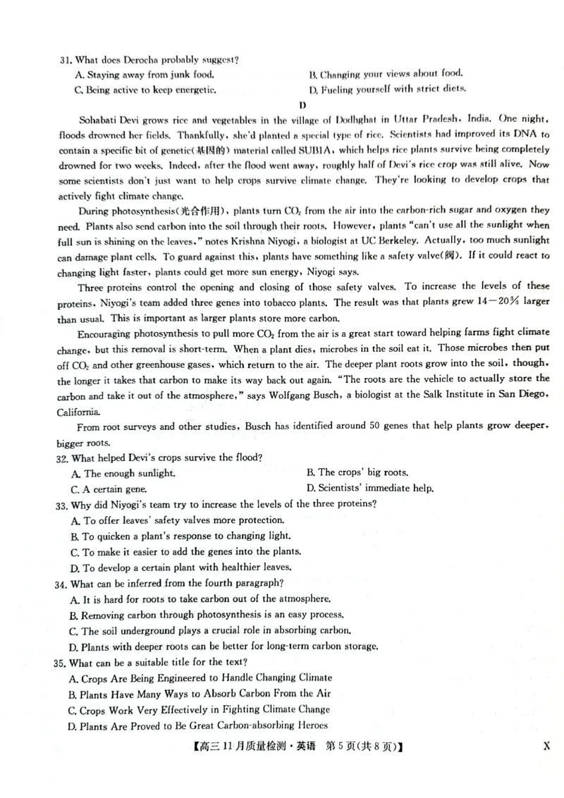 高三英语(1)_2023年11月_0211月合集_2024届九师联盟高三11月质量检测_九师联盟2024届高三11月质量检测（X）英语