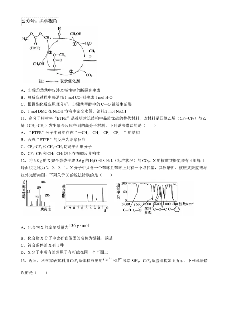 新疆维吾尔自治区喀什第二中学2024-2025学年高三上学期9月份月考化学试卷（含解析）_2024-2025高三（6-6月题库）_2024年10月试卷