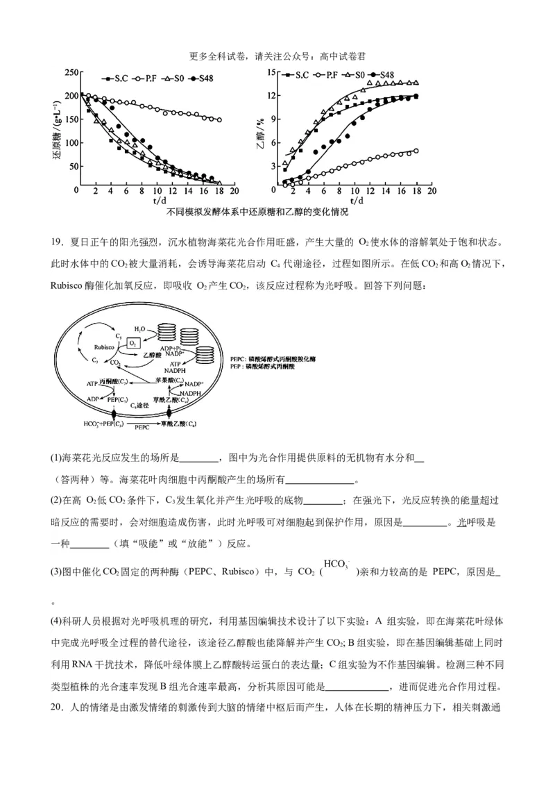 生物（九省联考考后提升卷，江西卷）（原卷版）_2024年4月_其他_2024年1月新&ldquo;九省联考&rdquo;考后提升卷（原卷+解析）_2024年1月&ldquo;九省联考&rdquo;生物真题完全解读与考后提升