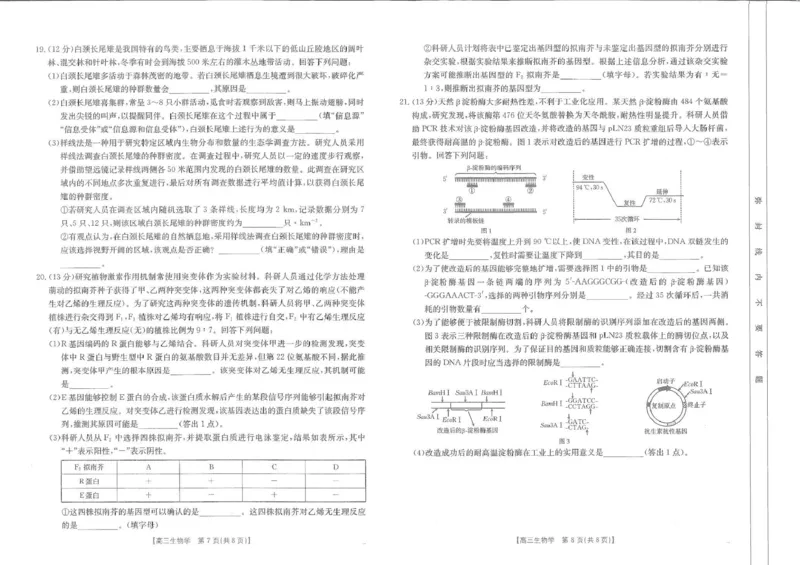 江西省部分校联考2024-2025学年高三下学期2月月考生物试题_2024-2025高三（6-6月题库）_2025年02月试卷_0214江西省金太阳2024-2025学年高三下学期2月联考（328C）（全科）