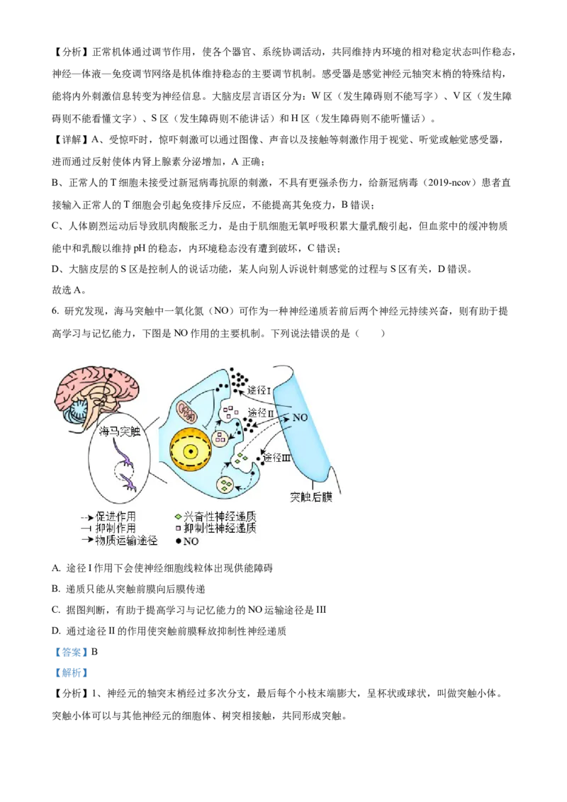 宁夏回族自治区银川一中2024-2025学年高二上学期期中考试生物Word版含解析_2024-2025高二（7-7月题库）_2024年11月试卷_1121宁夏回族自治区银川一中2024-2025学年高二上学期期中考试