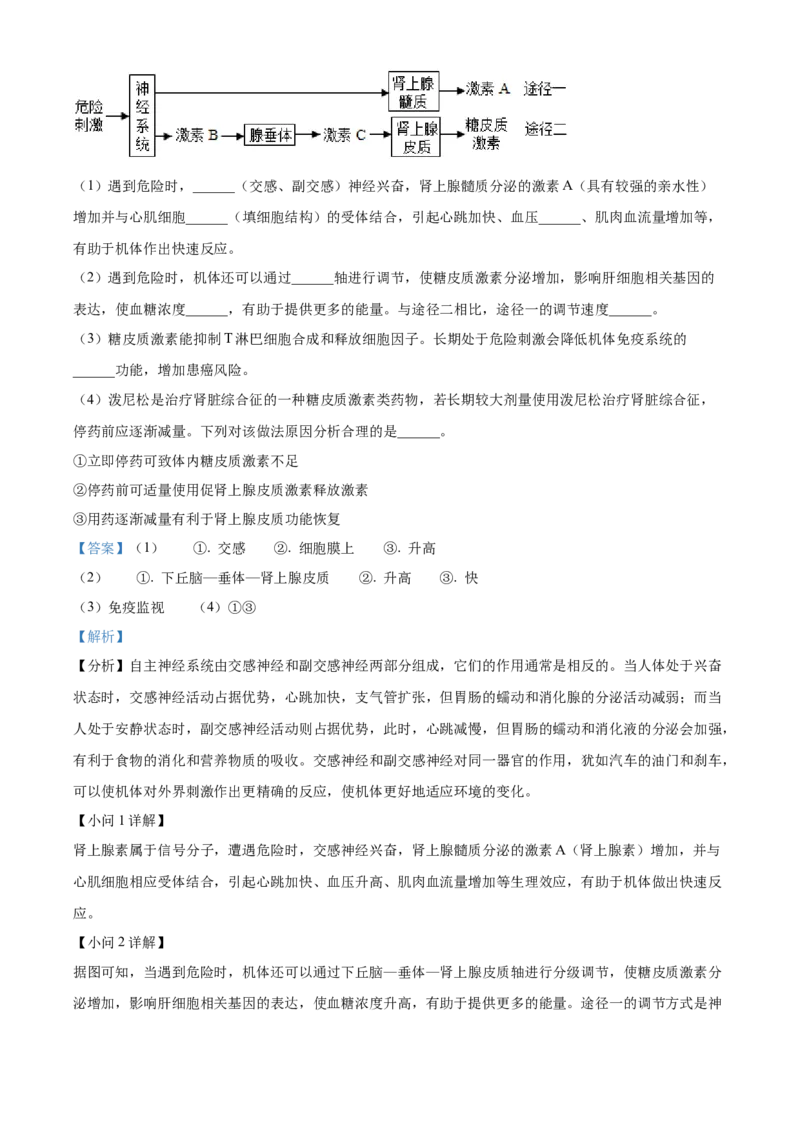宁夏回族自治区银川一中2024-2025学年高二上学期期中考试生物Word版含解析_2024-2025高二（7-7月题库）_2024年11月试卷_1121宁夏回族自治区银川一中2024-2025学年高二上学期期中考试