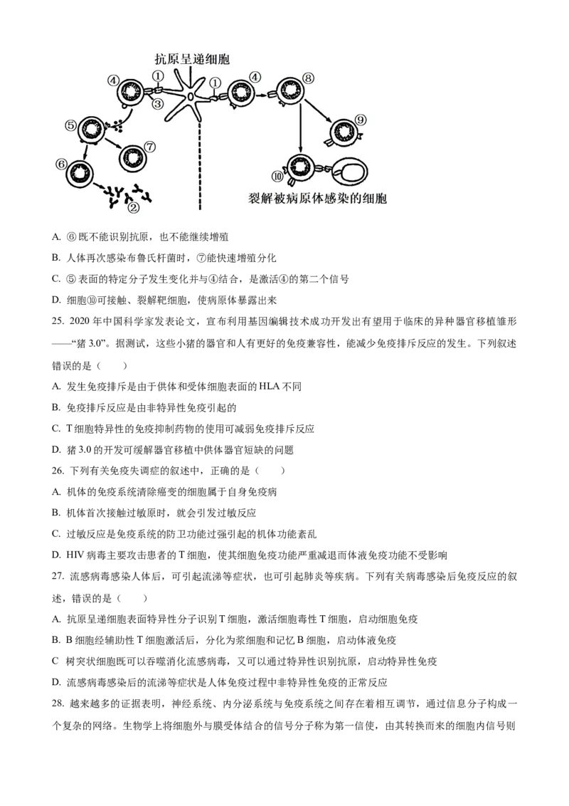 宁夏回族自治区银川一中2024-2025学年高二上学期期中考试生物Word版含解析_2024-2025高二（7-7月题库）_2024年11月试卷_1121宁夏回族自治区银川一中2024-2025学年高二上学期期中考试