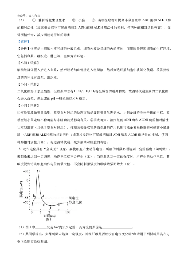 湖南师范大学附属中学2024-2025学年高二上学期第一次月考生物试卷Word版含解析_2024-2025高二（7-7月题库）_2024年10月试卷_1028湖南省长沙市师大附中2024-2025学年高二上学期10月月考