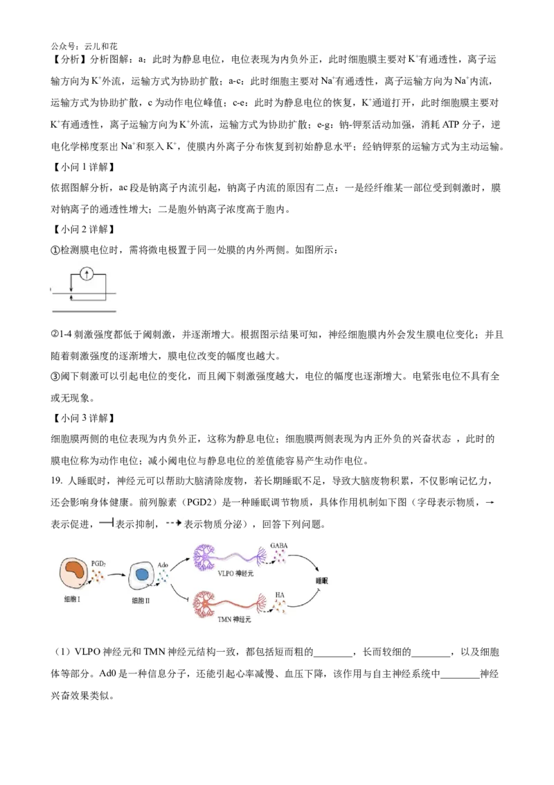 湖南师范大学附属中学2024-2025学年高二上学期第一次月考生物试卷Word版含解析_2024-2025高二（7-7月题库）_2024年10月试卷_1028湖南省长沙市师大附中2024-2025学年高二上学期10月月考