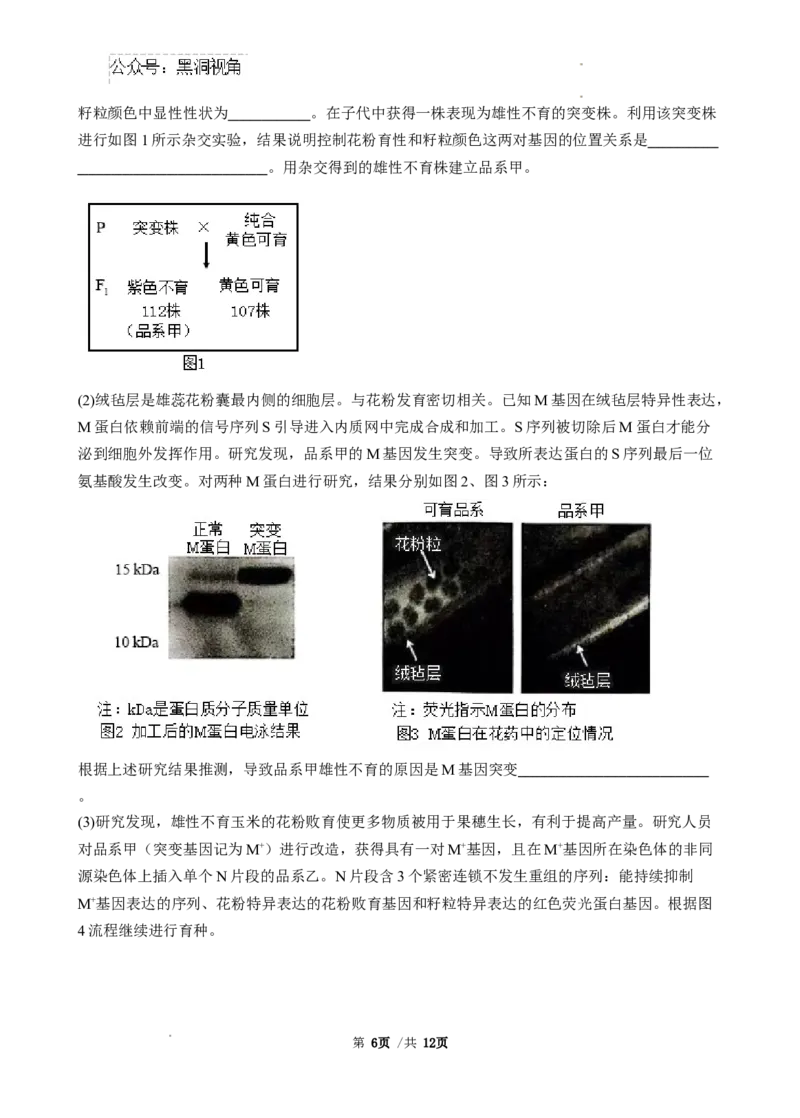广东省广东省三校2024-2025学年高三上学期开学生物试题_2024-2025高三（6-6月题库）_2024年08月试卷_0803广东省三校2024-2025学年高三上学期8月摸底考试
