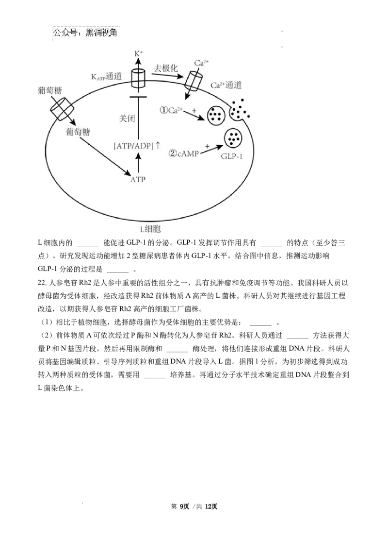 广东省广东省三校2024-2025学年高三上学期开学生物试题_2024-2025高三（6-6月题库）_2024年08月试卷_0803广东省三校2024-2025学年高三上学期8月摸底考试
