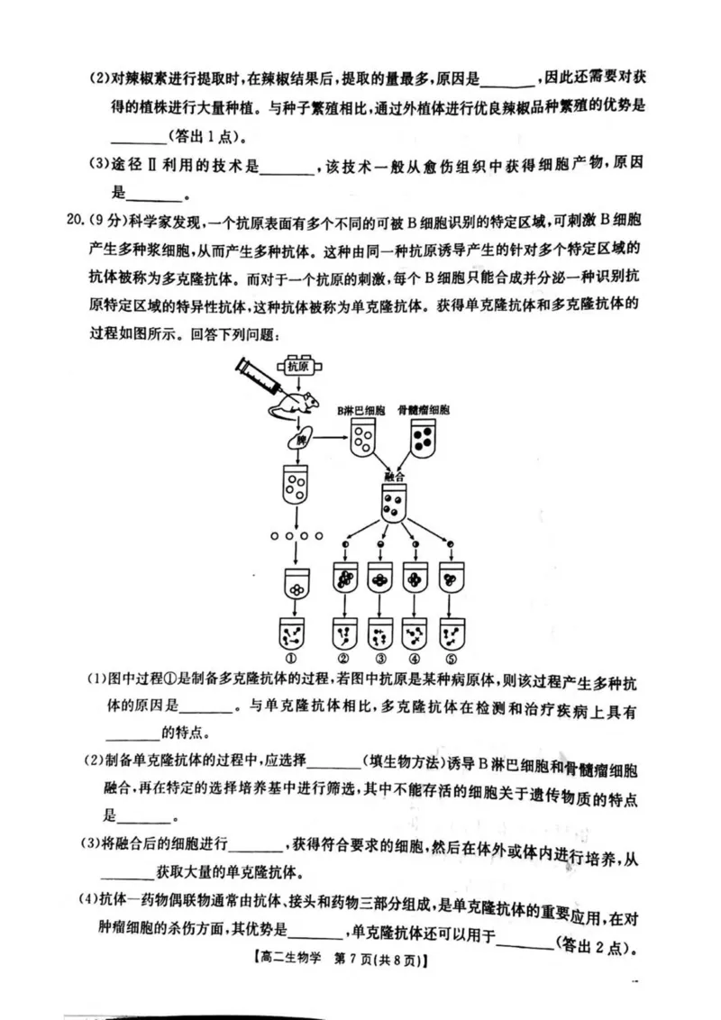 河南省安鹤新联盟2024-2025学年高二下学期3月联考试题生物PDF版含解析_2024-2025高二（7-7月题库）_2025年04月试卷(1)_0407河南省安鹤新联盟2024-2025学年高二下学期3月联考