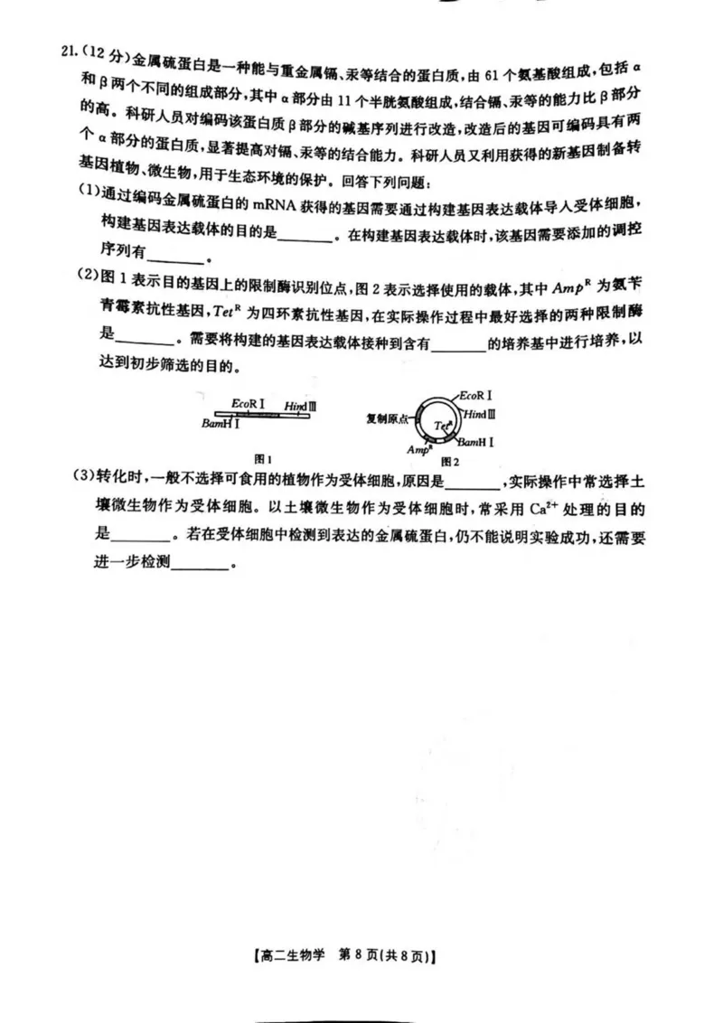河南省安鹤新联盟2024-2025学年高二下学期3月联考试题生物PDF版含解析_2024-2025高二（7-7月题库）_2025年04月试卷(1)_0407河南省安鹤新联盟2024-2025学年高二下学期3月联考