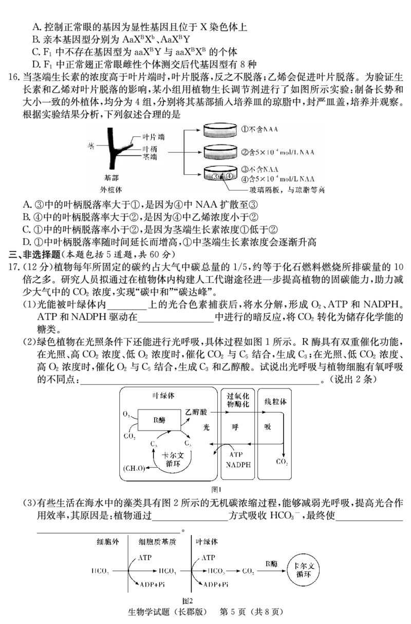 生物试卷（长郡高三6）_2024年2月_01每日更新_21号_2024届湖南省长沙市长郡中学高三下学期寒假作业检测（月考六）_湖南省长沙市长郡中学2024届高三下学期寒假作业检测（月考六）生物