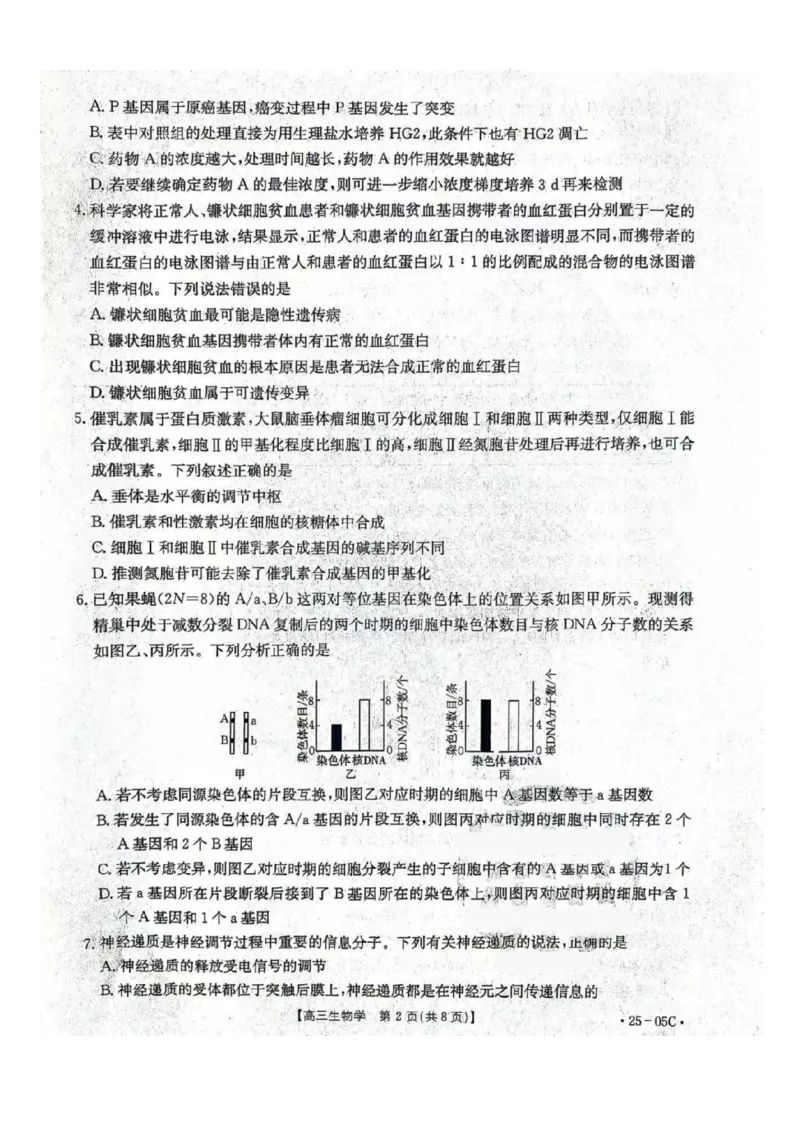河北省邢台市邢襄联盟2024-2025学年高三上学期开学考试生物+答案_2024-2025高三（6-6月题库）_2024年09月试卷_0904河北金太阳2024-2025学年高三上学期开学考试（24-05C）