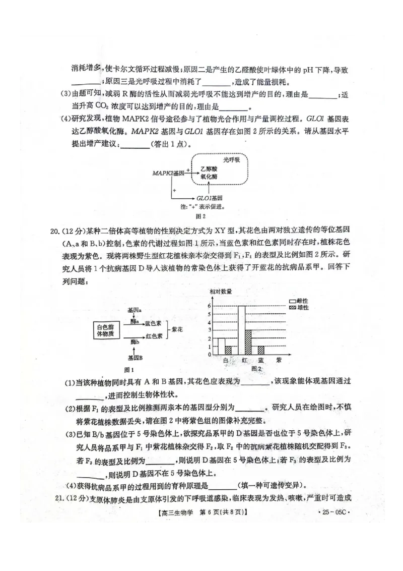 河北省邢台市邢襄联盟2024-2025学年高三上学期开学考试生物+答案_2024-2025高三（6-6月题库）_2024年09月试卷_0904河北金太阳2024-2025学年高三上学期开学考试（24-05C）