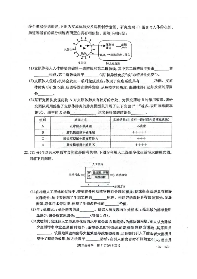 河北省邢台市邢襄联盟2024-2025学年高三上学期开学考试生物+答案_2024-2025高三（6-6月题库）_2024年09月试卷_0904河北金太阳2024-2025学年高三上学期开学考试（24-05C）
