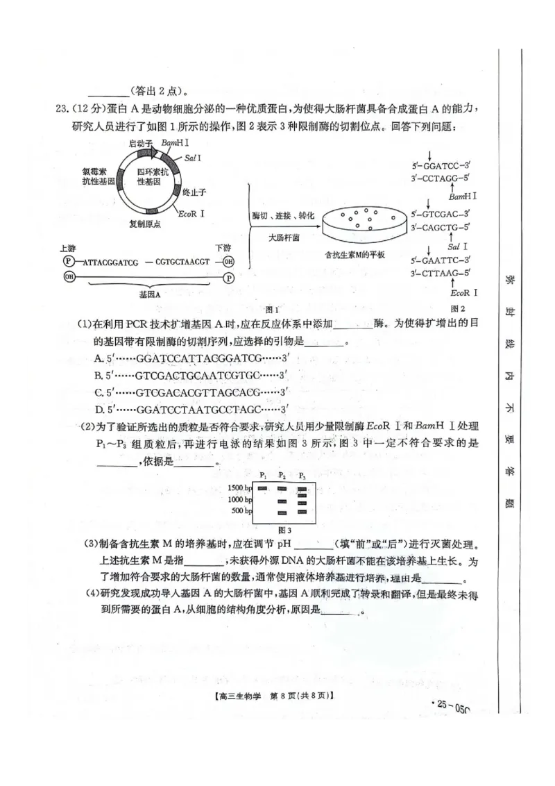 河北省邢台市邢襄联盟2024-2025学年高三上学期开学考试生物+答案_2024-2025高三（6-6月题库）_2024年09月试卷_0904河北金太阳2024-2025学年高三上学期开学考试（24-05C）