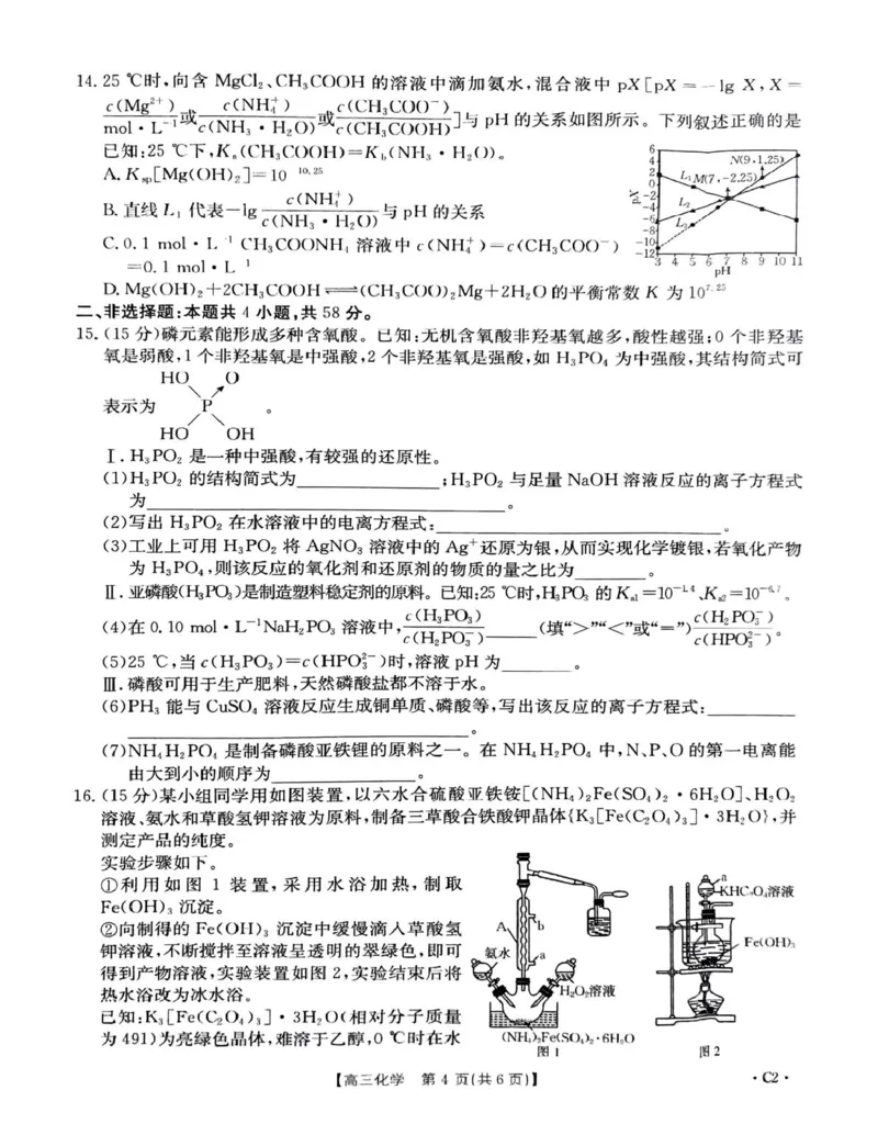 河北省保定市十县一中2025届高三上学期12月联考化学试卷（含答案）_2024-2025高三（6-6月题库）_2024年12月试卷_1224河北省保定市2025届高三上学期12月金太阳联考（24-193C）
