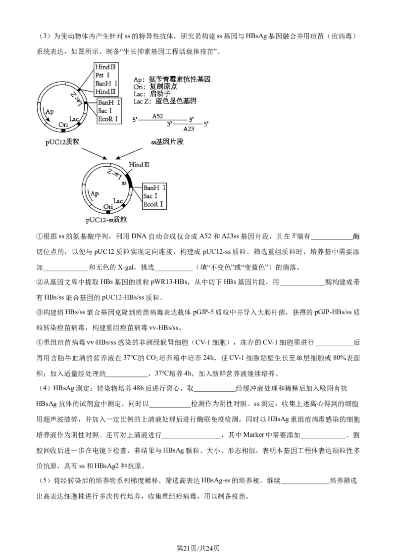 精品解析：浙江省七彩阳光联盟2023-2024学年高三下学期开学生物试题（解析版）_2024年3月_013月合集_2024届浙江省七彩阳光新高考研究联盟高三下学期开学考试