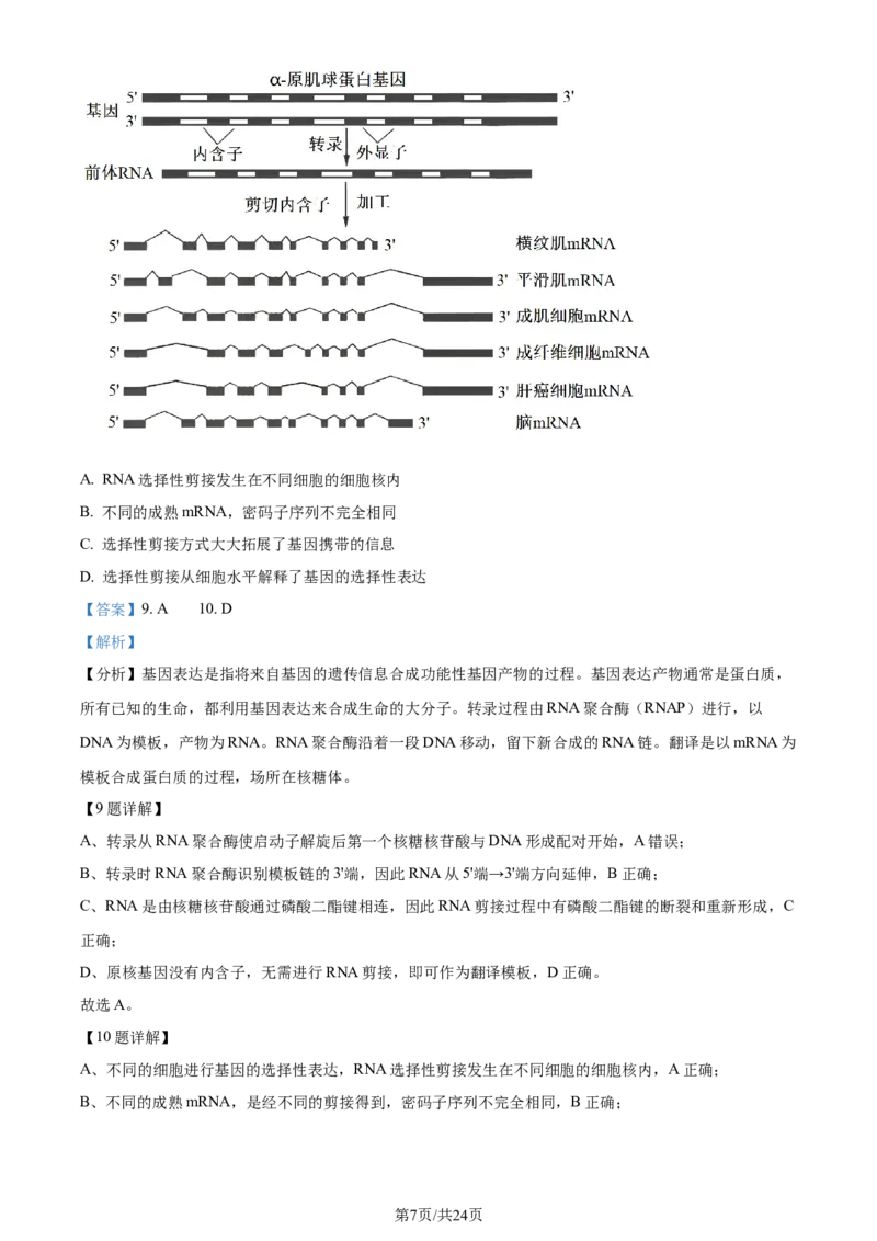 精品解析：浙江省七彩阳光联盟2023-2024学年高三下学期开学生物试题（解析版）_2024年3月_013月合集_2024届浙江省七彩阳光新高考研究联盟高三下学期开学考试