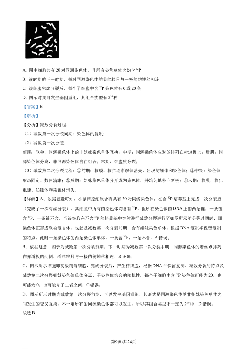 精品解析：浙江省七彩阳光联盟2023-2024学年高三下学期开学生物试题（解析版）_2024年3月_013月合集_2024届浙江省七彩阳光新高考研究联盟高三下学期开学考试