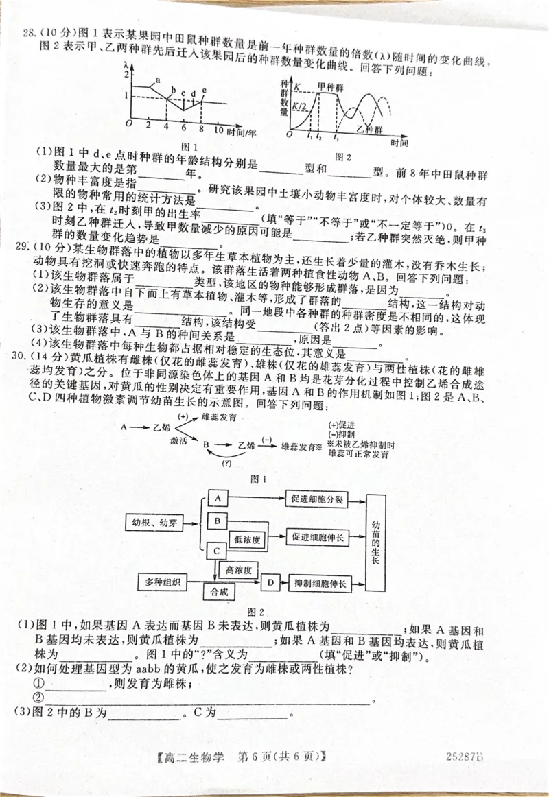 河北省衡水市第二中学等学校2024-2025学年高二上学期12月期末考试生物PDF版含解析_2024-2025高二（7-7月题库）_2025年01月试卷