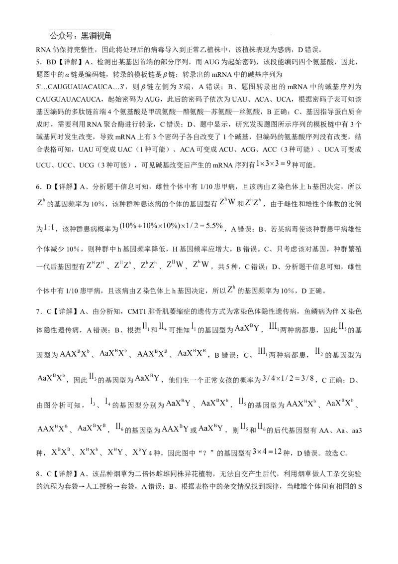 安徽省六安第一中学2024-2025学年高三上学期11月月考生物+答案_2024-2025高三（6-6月题库）_2024年12月试卷_1203安徽省六安一中2024-2025学年高三第四次月考（11月）（全科）
