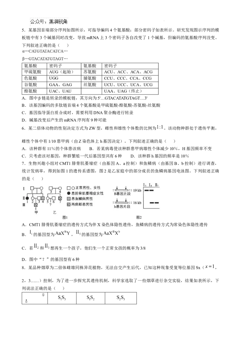 安徽省六安第一中学2024-2025学年高三上学期11月月考生物+答案_2024-2025高三（6-6月题库）_2024年12月试卷_1203安徽省六安一中2024-2025学年高三第四次月考（11月）（全科）