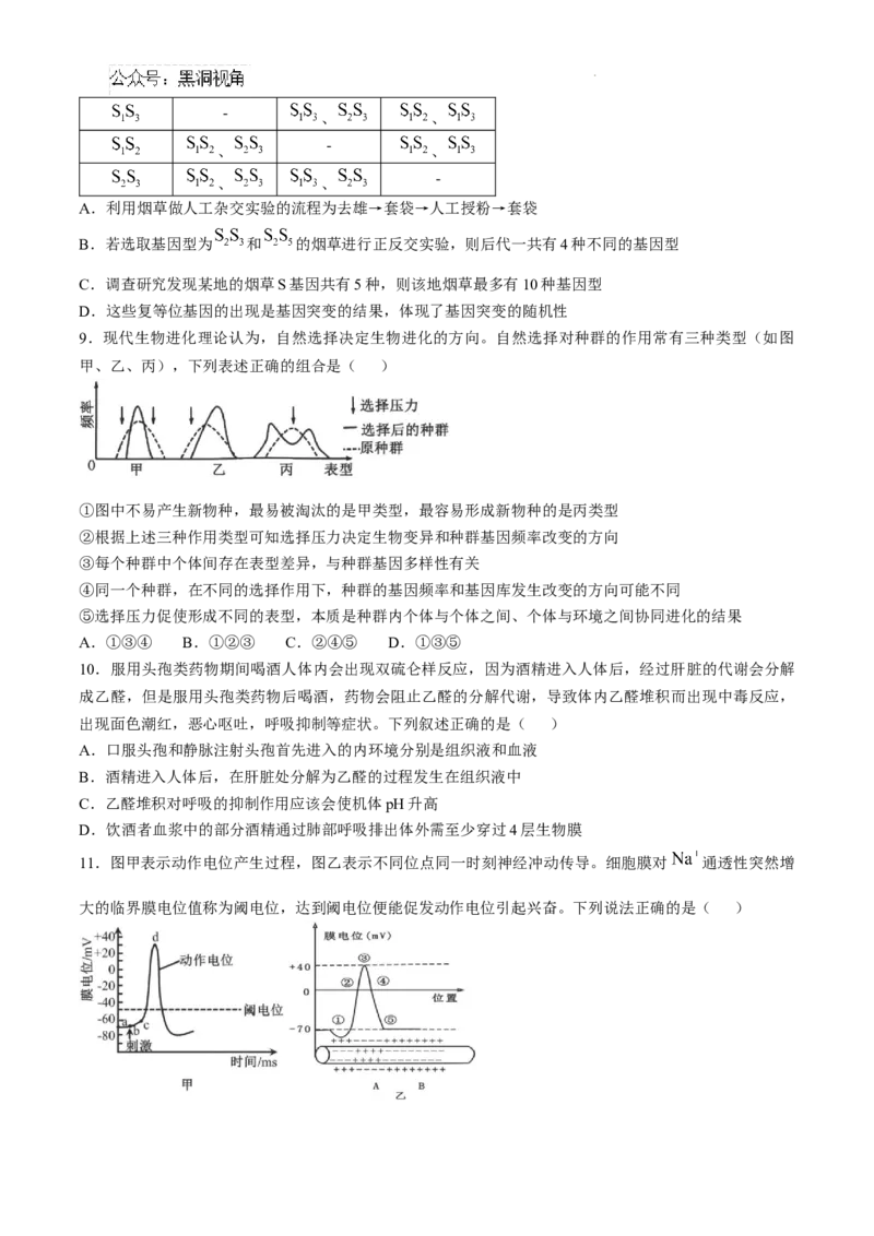 安徽省六安第一中学2024-2025学年高三上学期11月月考生物+答案_2024-2025高三（6-6月题库）_2024年12月试卷_1203安徽省六安一中2024-2025学年高三第四次月考（11月）（全科）