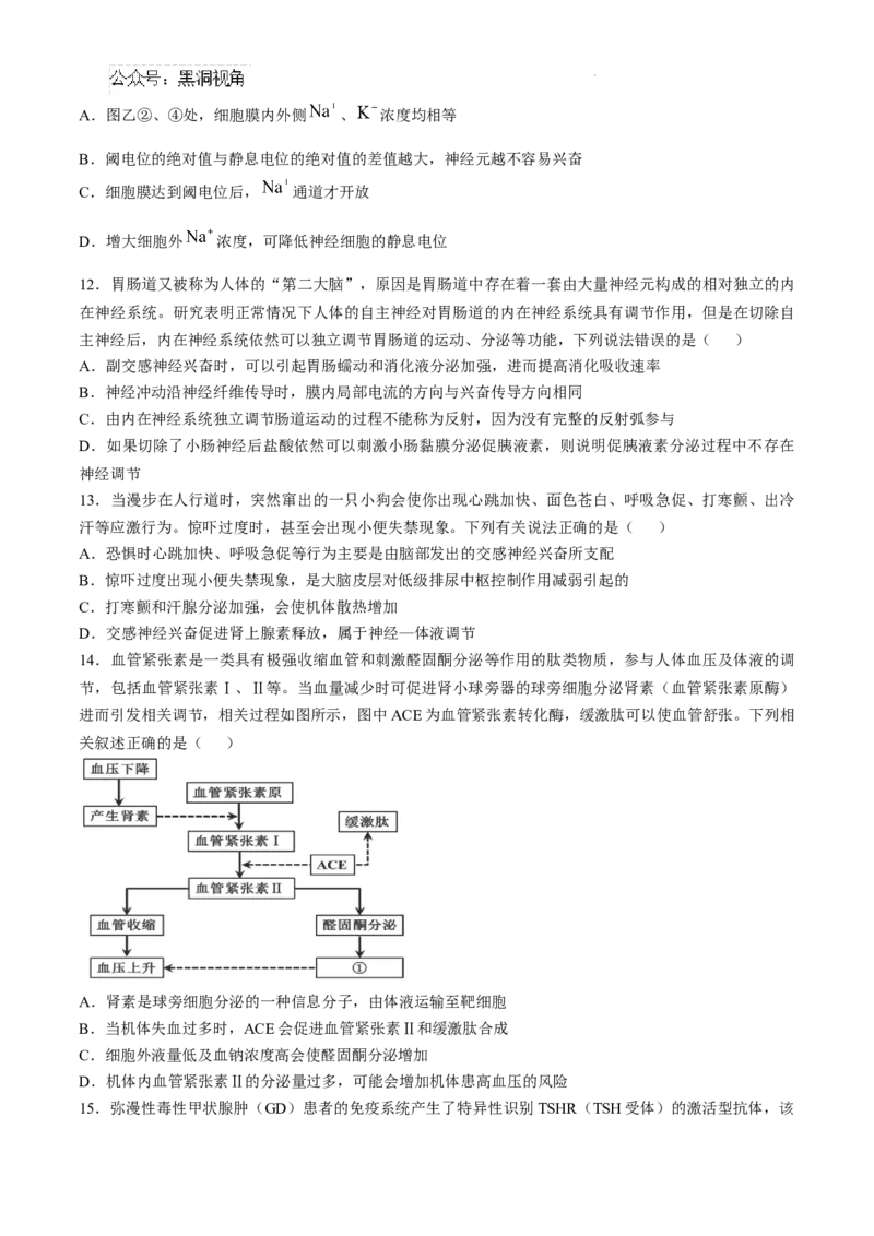 安徽省六安第一中学2024-2025学年高三上学期11月月考生物+答案_2024-2025高三（6-6月题库）_2024年12月试卷_1203安徽省六安一中2024-2025学年高三第四次月考（11月）（全科）