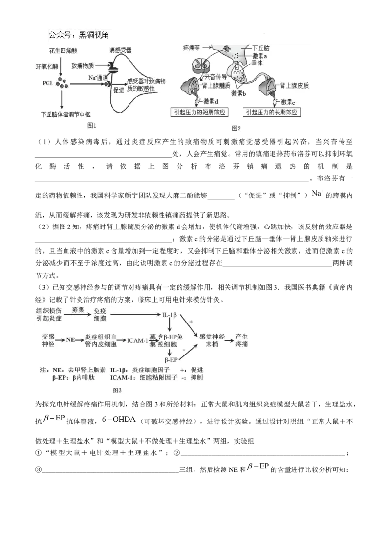 安徽省六安第一中学2024-2025学年高三上学期11月月考生物+答案_2024-2025高三（6-6月题库）_2024年12月试卷_1203安徽省六安一中2024-2025学年高三第四次月考（11月）（全科）