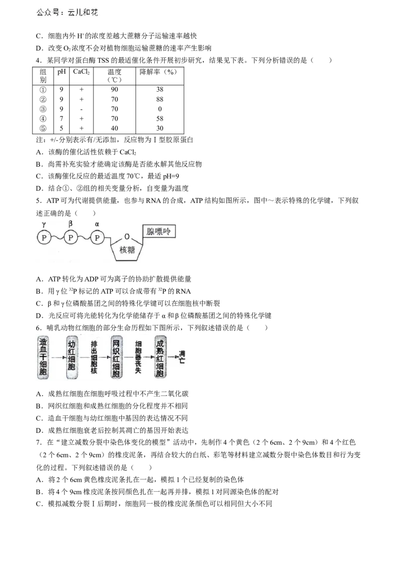安徽省省十联考（合肥一中）2024年高二下学期7月期末生物试题_2024-2025高二（7-7月题库）_2024年07月试卷_0711安徽省省十联考（合肥一中）2024年高二下学期7月期末