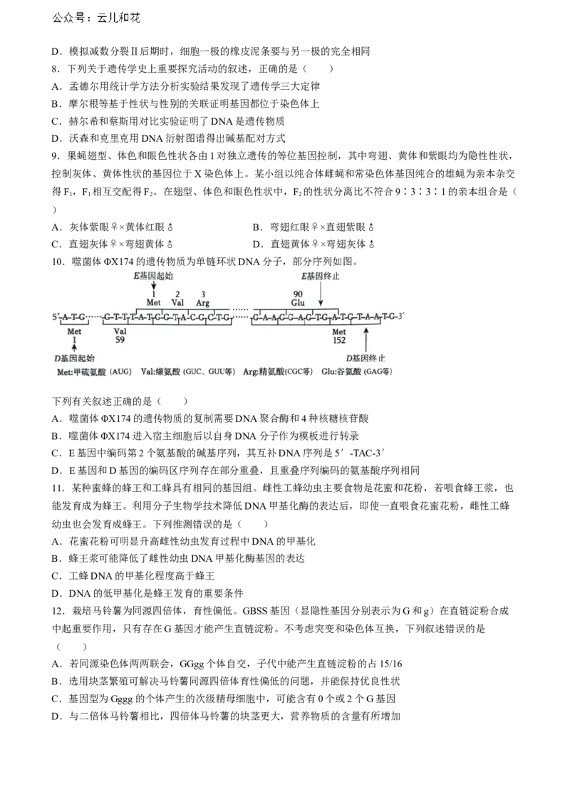 安徽省省十联考（合肥一中）2024年高二下学期7月期末生物试题_2024-2025高二（7-7月题库）_2024年07月试卷_0711安徽省省十联考（合肥一中）2024年高二下学期7月期末