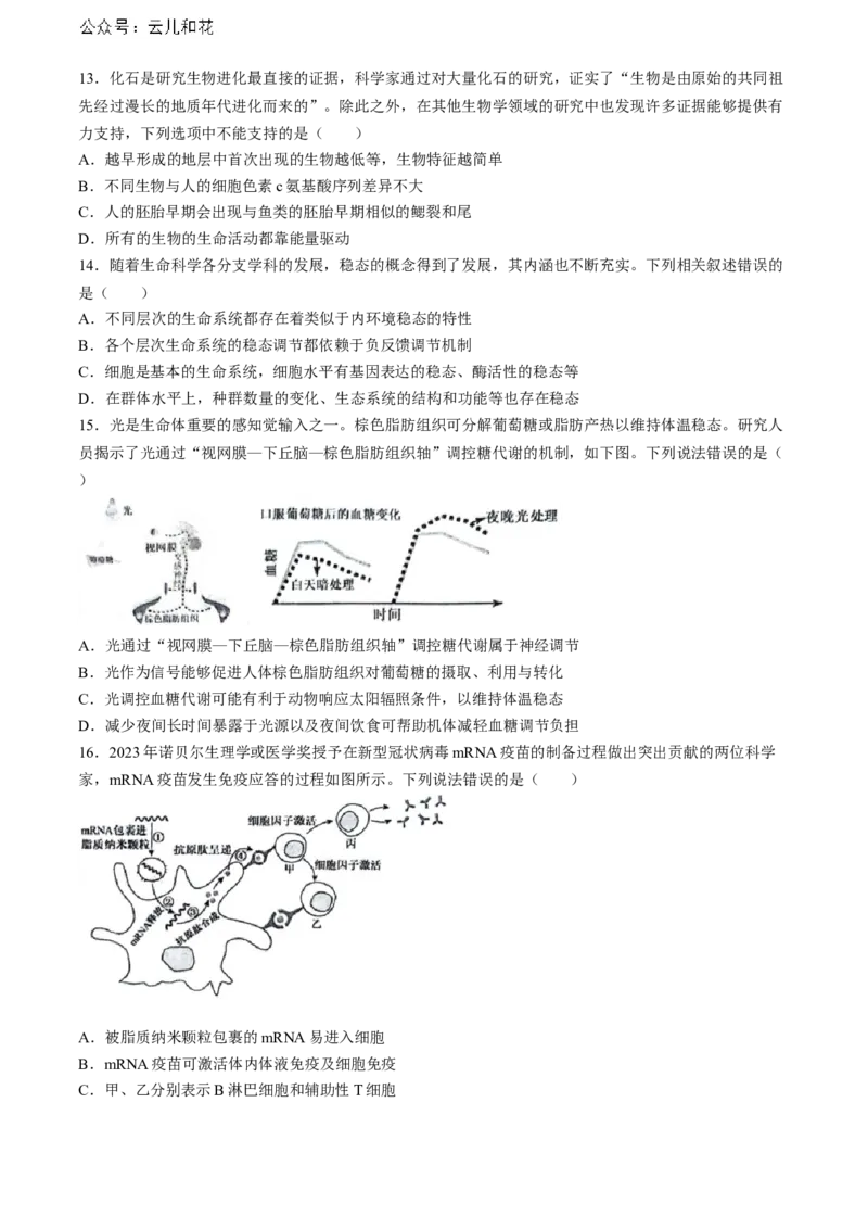 安徽省省十联考（合肥一中）2024年高二下学期7月期末生物试题_2024-2025高二（7-7月题库）_2024年07月试卷_0711安徽省省十联考（合肥一中）2024年高二下学期7月期末